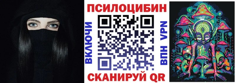 закладка  Чекалин  Псилоцибиновые грибы мицелий 